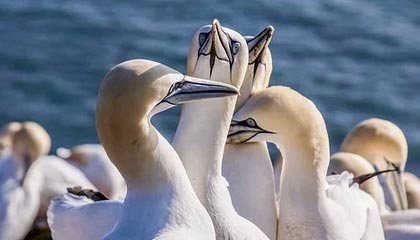 台州最新公积金卡提取现金方法app方法分析(最方便真实的台州公积金卡怎样从手机里取出来?方法)