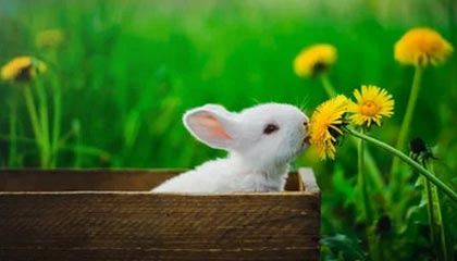 台州最新公积金卡提取现金方法app方法分析(最方便真实的台州公积金卡怎样从手机里取出来?方法)